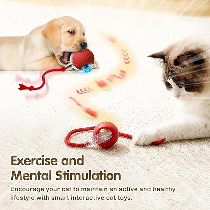 Interactive Cat Toys Ball, Newly Upgraded Automatic with Elastic Tail Rope and USB Charging. Stimulates Hunting Instincts and Promotes Exercise. Interactive Cat Toys for Bored Indoor Adult Cats