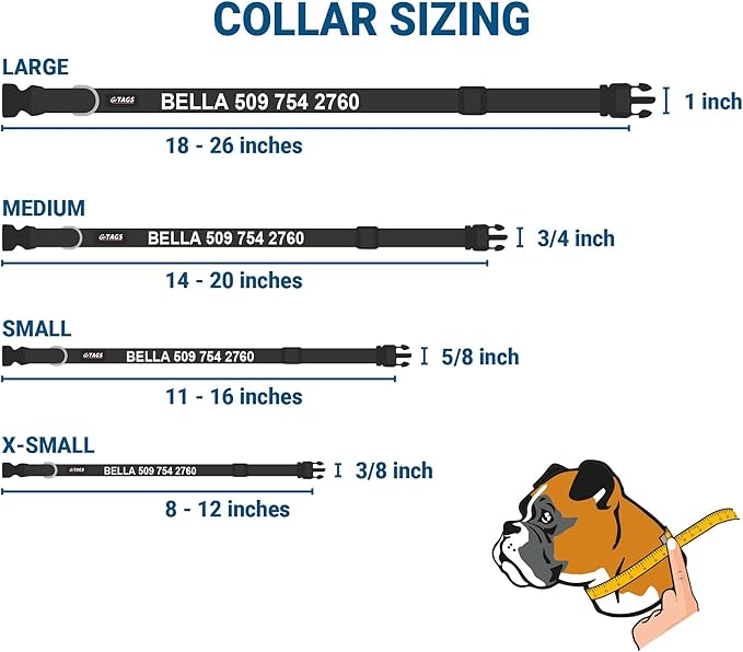 GoTags Personalized Dog Collar with Nameplate, Adjustable Dog Collar with Custom Engraved Slide On Pet ID Tag in Stainless Steel, Silent, No Noise Dog Tag (Charcoal, Large)