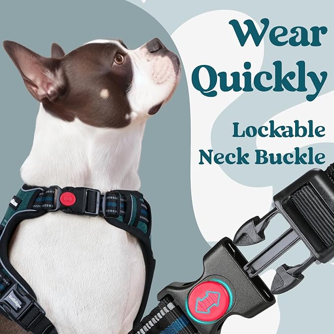 rabbitgoo Dog Harness for Large, No Pull Pet Harness with 3 Buckles, Adjustable Soft Padded Vest with Control Handle, Walking Reflective Pet Vest for Large Dogs, Blue Coral, L