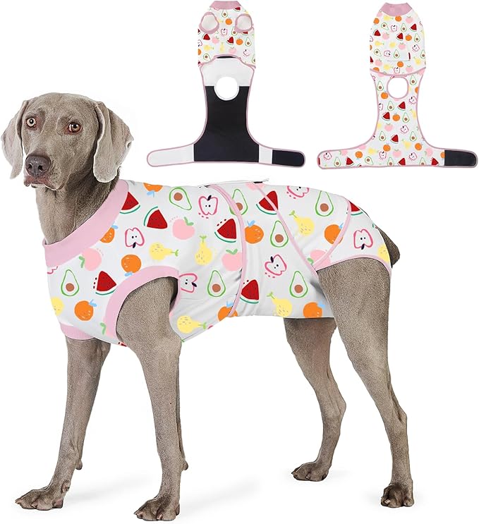 Recovery Suit for Dogs After Surgery, Professional Dog Surgical Suit for Female Spay, Male Neuter, E-Collar & Cone Alternative Dog Onesie for Abdominal Wounds Skin Disease, Fruit, XXL