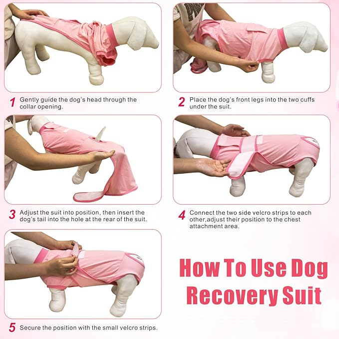 Idepet Dog Recovery Suit Female,Dogs Onesie Suit Surgery Male Breathable Pet Bodysuit for Spay Neuter E-Collar & Cone Alternative Surgical Suit Puppy Abdominal Anti Licking Wounds Shirt (Gray, XL)