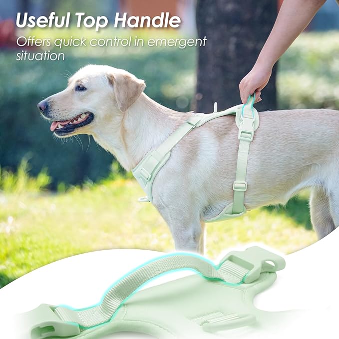 No Pull Dog Harness, Puppy Vest with Front Clip for Small Medium Large Sized Dog(Light Green,XS)