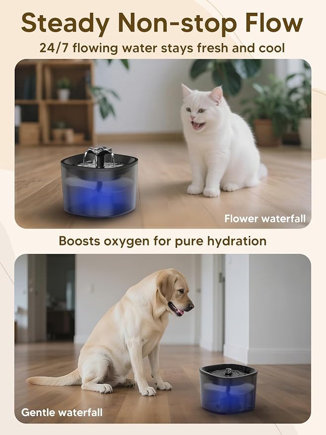 Automatic Cat Feeder and Water Fountain, 5L/20 Cups Timed Cat Dry Food Dispenser, 10s Meal Call, 20 Portions 6 Meals Per Day, 2L Cats Fountains for Drinking with Filter, Pet Feeder for Dog