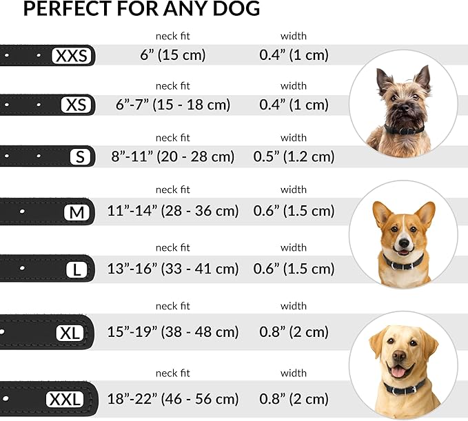 CollarDirect Rolled Leather Dog Collar, Soft Padded Round Puppy Collar, Handmade Genuine Leather Collar Dog Small Large Cat Collars 13 Colors (8-11 Inch, Black Smooth)