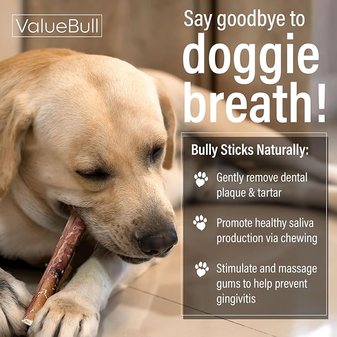 ValueBull Bully Sticks for Large Dogs, Jumbo 6 Inch, 100 Count Bulk Pack - All Natural, Grass Fed, Single Ingredient, Long Lasting Dog Treats for Aggressive Chewers