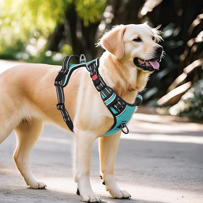 Timos Dog Harness,NO Need Go Over Dogs Head 3 Snap Buckles Pet Harness with 2 Leash Clips,Adjustable Soft Padded No-Pull,Reflective No-ChokeOxford Vest for Small Medium Large Dogs,X-Large (Pack of 1)