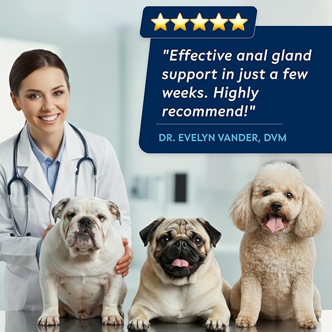 STRELLALAB Anal Gland Support Chews - Scoot Treatment - Digestive Enzymes, Prebiotics & Fiber Supplement for Dogs Digestion & Gut Health. Proprietary Blend of Beet, Psyllium, Dandelion & Pumpkin 120Ct