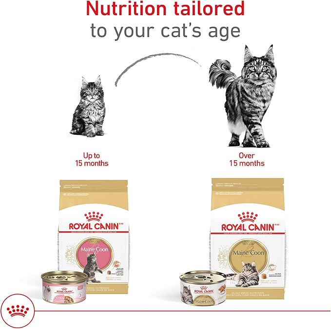 Royal Canin Maine Coon Breed Adult Dry Cat Food, 14 lb bag