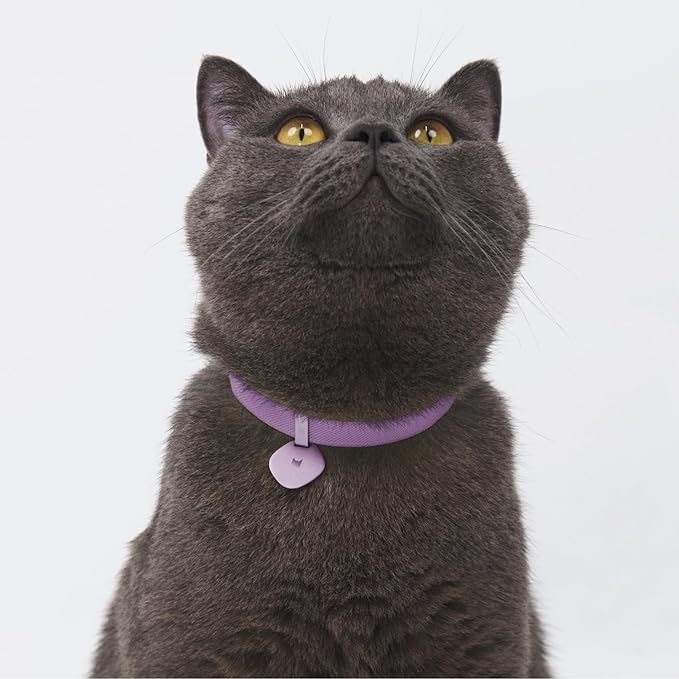 Safety Cat Collar and ID Tag Set - Elastic Quick Release Non Breakaway Personalized Anodized Aluminum Engraved Pet Name Tag, Lightweight for Kitten Small Large Cats