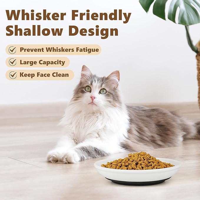 Ceramic Cat Food Bowls - 2 Pack Shallow Plates for Wet Food, Whisker-Friendly Feeding Dish with Non-Slip Silicone Base, Microwave & Dishwasher Safe for Indoor Cats & Kittens
