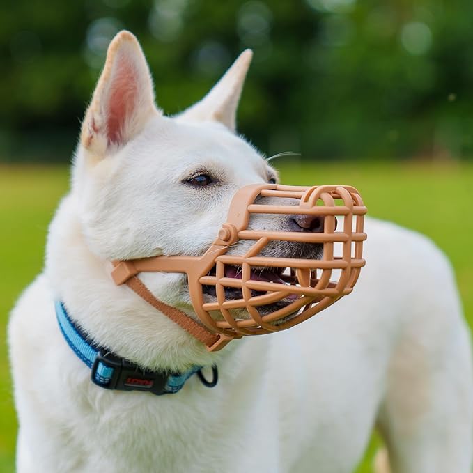 Baskerville Classic Basket Muzzle - Dog can Pant and Drink, Prevents Biting and Food Waste Scavenging, Strong TPR, Ideal for Longer Nosed Dogs, Breathable Dog Training Muzzle for Medium Dogs (Size 4)