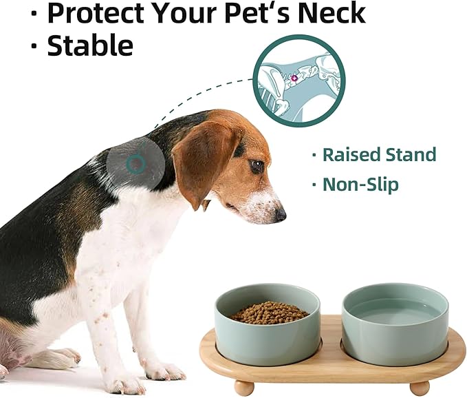 Ceramic Elevated Dog Bowls, Food and Water Bowls for Dogs, Puppy, Raised Dog Dish, Pet Feeder(6inch, 2 x Light Green + Stand)