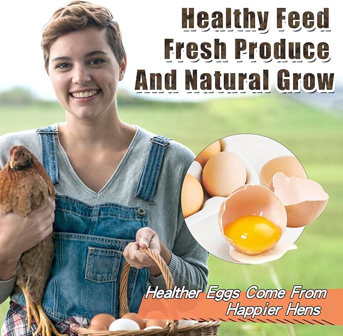 Dried Black Soldier Fly Larvae, 85X More Calcium Than Mealworms High-Protein BSF Larvae Chicken Treats Non-GMO BSFL for Chickens, Hens, Ducks, Wild Birds 5LBS