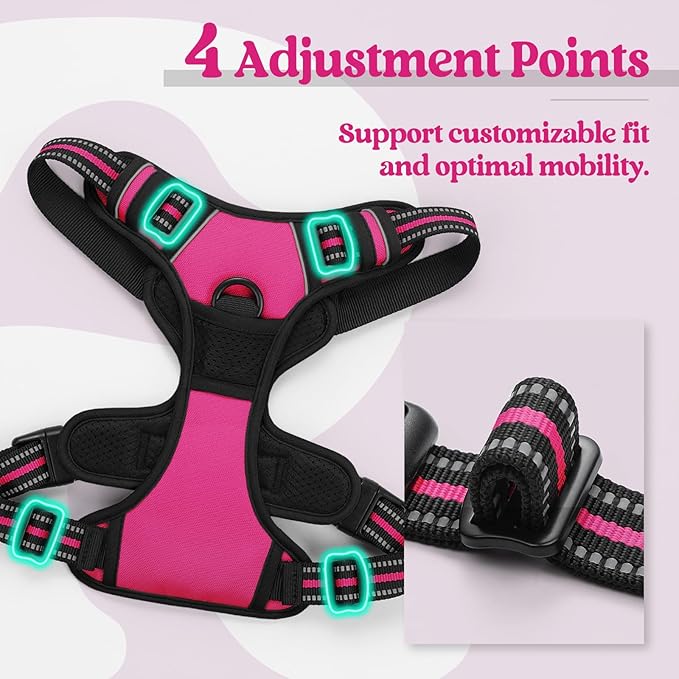 rabbitgoo Dog Harness No Pull with 2 Leash Clips, Adjustable Soft Padded, Reflective Oxford No Choke Pet Vest with Easy Control Handle for Large Dogs, Hot Pink, S