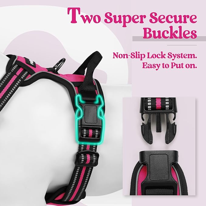 rabbitgoo Dog Harness No Pull with 2 Leash Clips, Adjustable Soft Padded, Reflective Oxford No Choke Pet Vest with Easy Control Handle for Large Dogs, Hot Pink, S