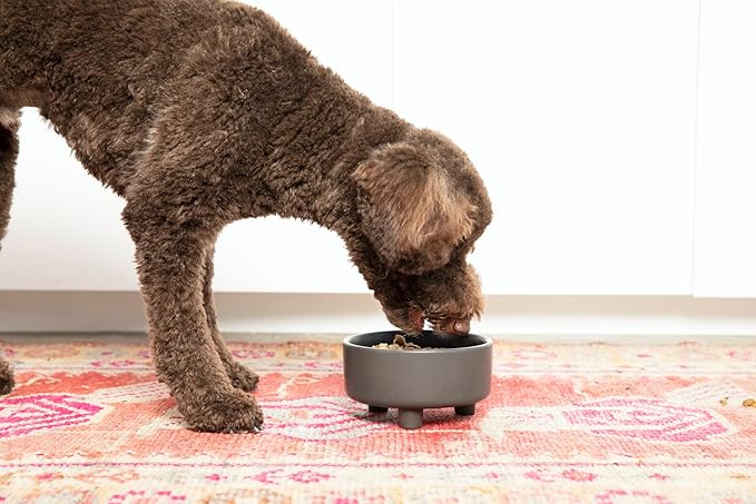 Waggo Uplift Ceramic Dog Bowl for Small Medium and Large Breeds - Heavyweight and Durable Pet Food and Water Dish Crock, Dishwasher Safe, Modern, Elevated Feeder (White, Small)