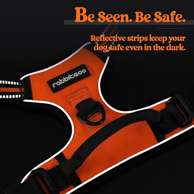 rabbitgoo Dog Harness No Pull with 2 Leash Clips, Adjustable Soft Padded, Reflective Oxford No Choke Pet Vest with Easy Control Handle for Small Dogs,Orange,S