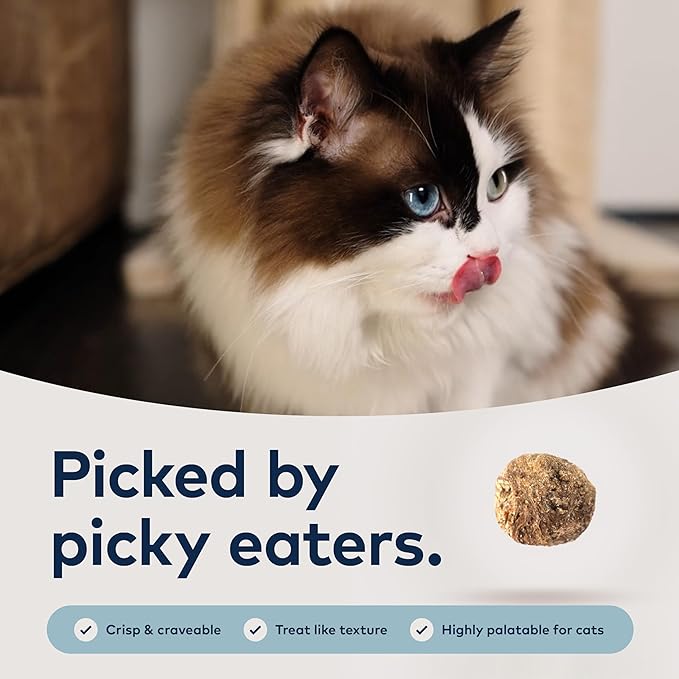 ZIWI Peak Steam & Dried Cat Food – Beef w/Southern Blue Whiting Fish - High Protein, Skin & Coat Health, Low Carb, for All Life Stages (78.4oz)