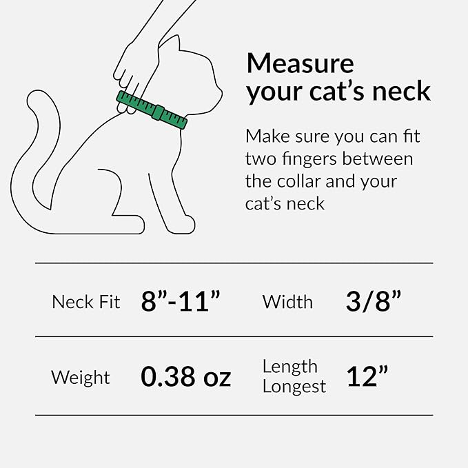 CollarDirect Leather Cat Collar with Bell - Kitten Collar, Small and Big Cat Strap for Boy Cats, Girl Cats with Safety Elastic Strap (Neck Fit 8"-11", Yellow)