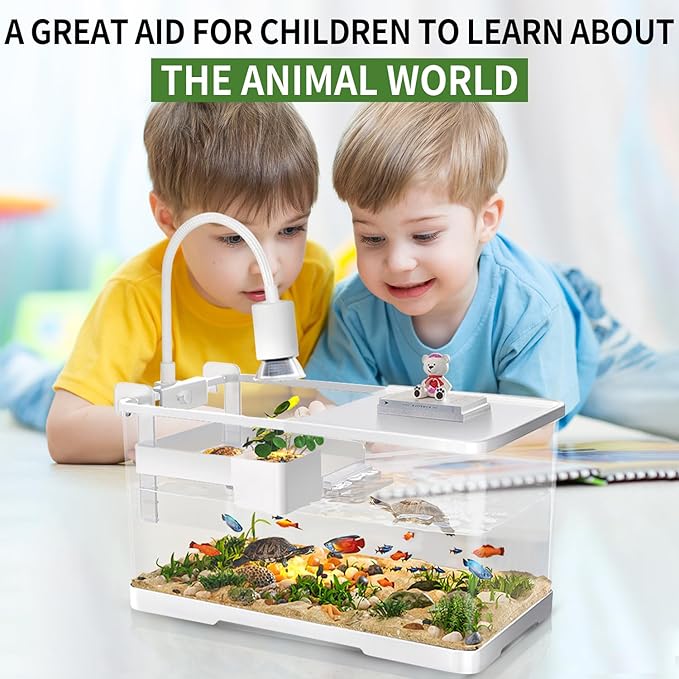 (Tank + Light + Filter + Filter Balls) Turtle Tank Kit, Turtle Tank Starter Kit,Bottom Drainage, Multi-Function Areas for Turtles, Crabs,Fishes, Amphibians,Reptiles. (15.75 x 8.64 x 8.64 Inch)