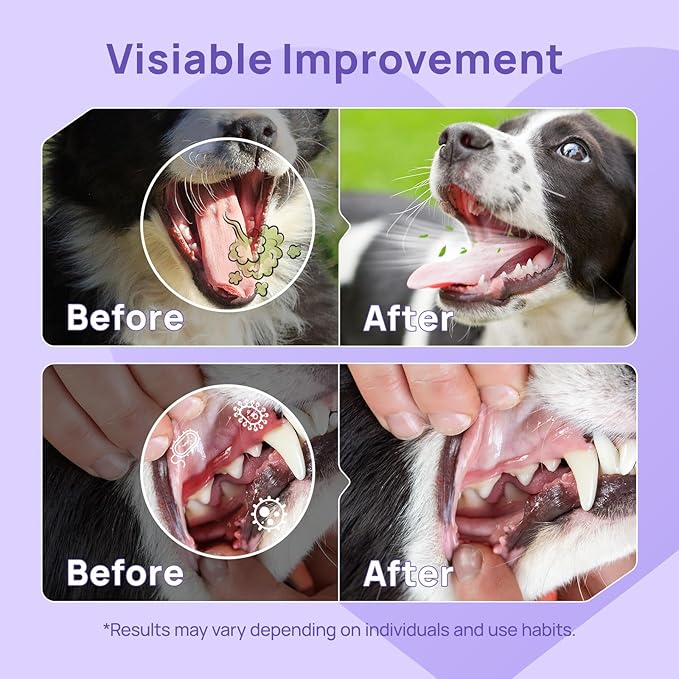 HICC PET Dog Dental Care Spray, Vet-Recommended Dog Breath Freshener, Soothing Bad Breath Caused by Plaque and Red Gums for Dogs & Cats, Dog Gingivitis Treatment and Prevent Oral Infections, 5.1 Fl Oz
