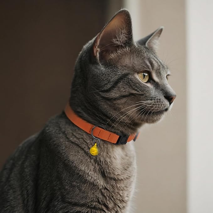 Breakaway Cat Collar Leather with Removable Bell - 13 Colors Available - Soft Adjustable Girl Boy Safety Lightweight Pet Kitten Collars Pink Brown Blue Green Red Orange Black (Graphite)