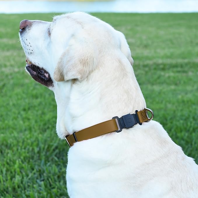 Dogline Biothane Waterproof Dog Collar with Herm Sprenger Stainless Steel Quick Release Buckle – Heavy Duty Tactical Durable Collar for Dogs – Comfortable and Safe Pet Collar, W 1" L 15-25", Brown