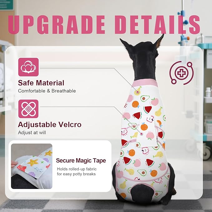 Recovery Suit for Dogs After Surgery, Professional Dog Surgical Suit for Female Spay, Male Neuter, E-Collar & Cone Alternative Dog Onesie for Abdominal Wounds Skin Disease, Fruit, XXL