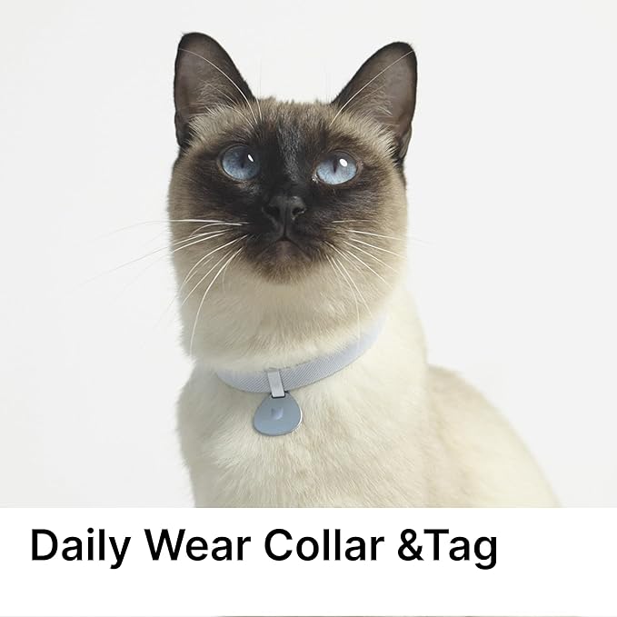 Safety Cat Collar and ID Tag Set - Elastic Quick Release, Non Breakaway Cat Collar Personalized Anodized Aluminum Engraved Pet Name Tag, Lightweight for Kitten and Small Large Cats