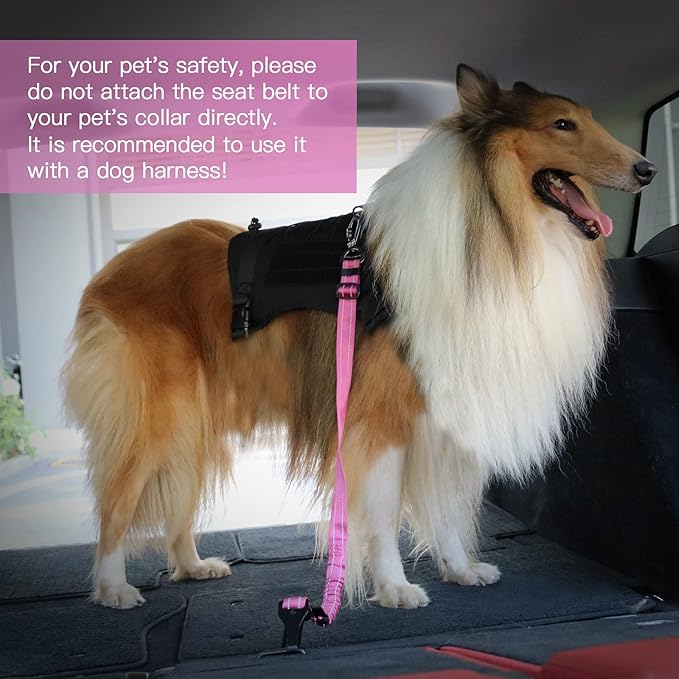 AUBELL Dog Seat Belt for Car,2 Pack Set 3-in-1 Adjustable Reflective Bungee Heavy Duty Dog Car Harness Tether with Clip Hook Latch & Buckle,Swivel Zinc Alloy Carabiner,Black+Hotpink