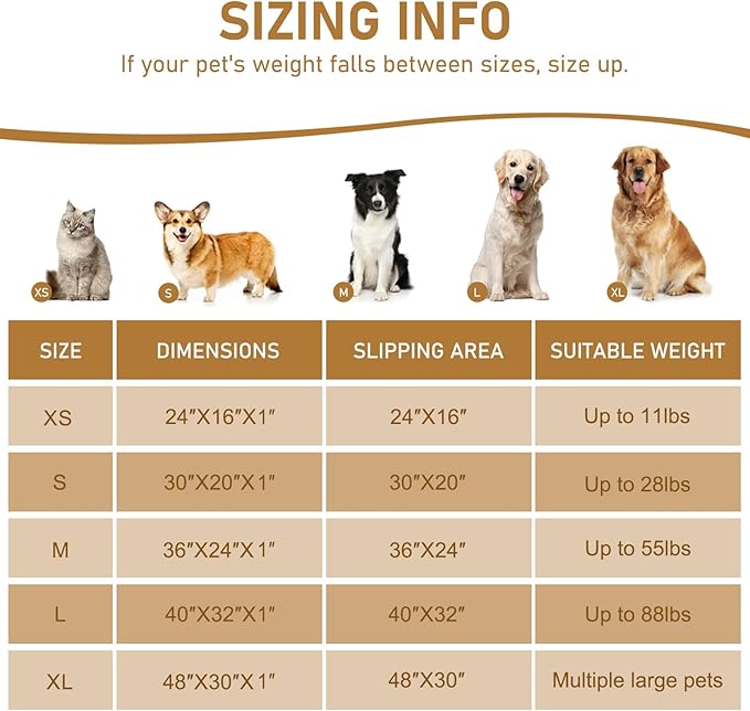 Smiry Dog Door Mat for Muddy Paws 30x20, Absorbs Moisture and Dirt Doormat, Non-Slip Washable Quick Dry Chenille Front Door Mat Indoor Entrance, Entryway Carpet for Inside Floor, Hot Pink
