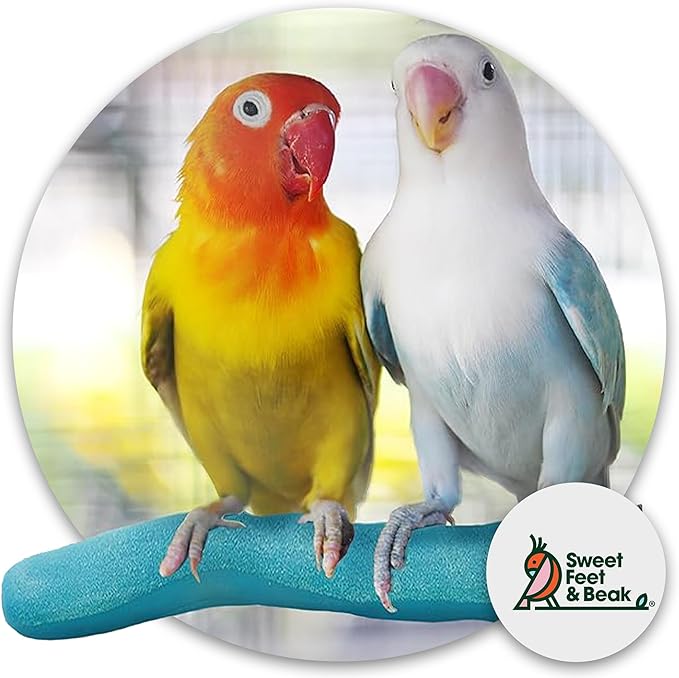 Sweet Feet & Beak Safety Pumice Bird Perch, X-Large 2-1/4" X 14", Blue - Lightweight Grinding Bird Perches for Cage - Bird Nail Trimming Perch for Healthy Beak & Feet - Multi-Size & Color Parrot Stand