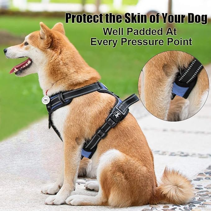 PoyPet No Pull Dog Harness, Reflective Comfortable Vest Harness with Front & Back 2 Leash Attachments and Easy Control Handle Adjustable Soft Padded Pet Vest for Small to Large Dogs (Light Blue,M)