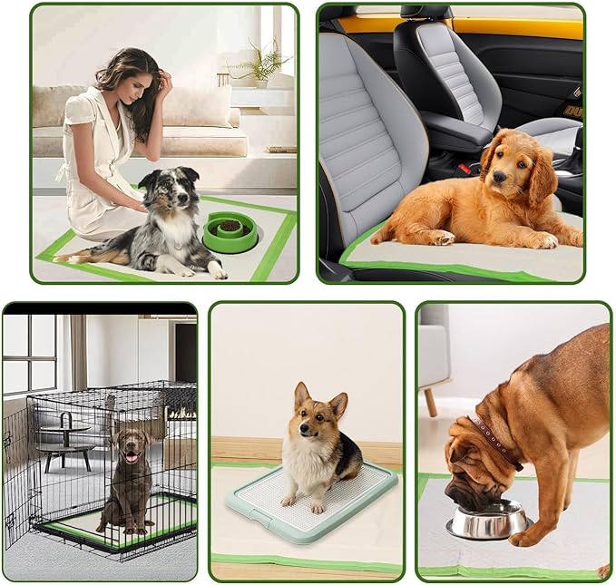 Gardner Pet Dog Pee Pads Extra Large 29"x37", XL Thicker ECO Green Disposable XLarge Puppy Training Pads Super Absorbent Full Edge-Wrapping Pad for Dogs, Puppies, Doggie, Cats, Rabbits-(30 Count)