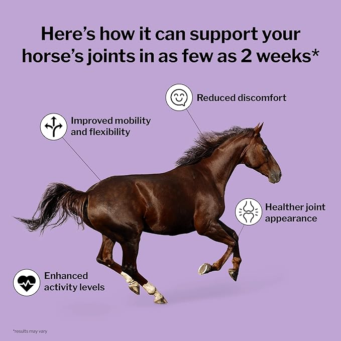 Formula 707 Joint 6in1 Equine Supplement 10 lb Bag – Support for Joint Integrity and Inflammatory Response in Horses – Green-Lipped Mussel, MSM, Glucosamine, Chondroitin & Collagen
