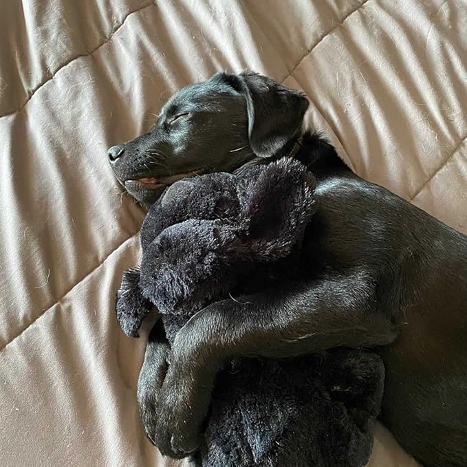 Original Snuggle Puppy Toys - Heartbeat Puppy for Dogs - Pet Anxiety Relief and Calming Aid - Comfort Dog Toys for Behavioral Training