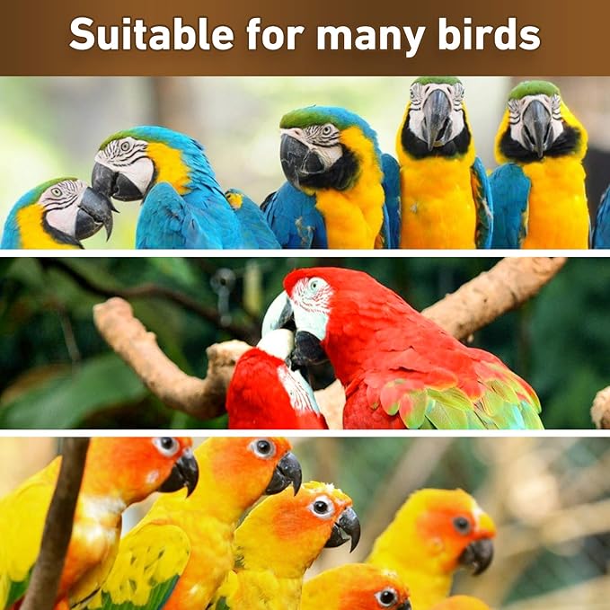 MYFAMIREA Parrot Toys for Medium Birds, Parrot Chewing Cardboard Toys Natural Wooden Macaws Cage Chewing Gifts for African Greys, Cockatoos, Macaws, Small and Medium Birds