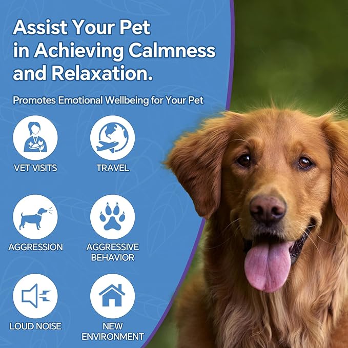 Hemp Seed Oil for Dogs and Cats - Omega-3, 6, 9 Rich Organic Extract - Eases Pet Anxiety, Pain, Skin & Coat Health - Stress Relief, Hip & Joint Support - Calming Treats (2 Pack)