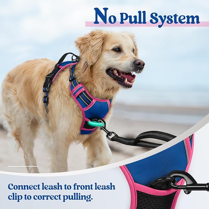 rabbitgoo Dog Harness No Pull with 2 Leash Clips, Adjustable Soft Padded, Reflective Oxford No Choke Pet Vest with Easy Control Handle for Large Dogs, Blue & Hot Pink, S