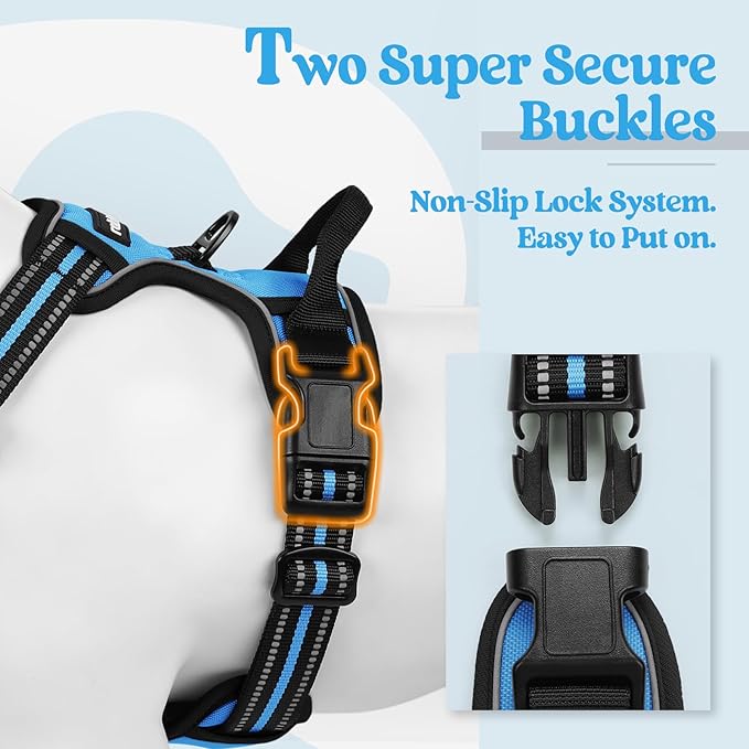 rabbitgoo Dog Harness No Pull with 2 Leash Clips, Adjustable Soft Padded, Reflective Oxford No Choke Pet Vest with Easy Control Handle for Large Dogs, Blue, XL