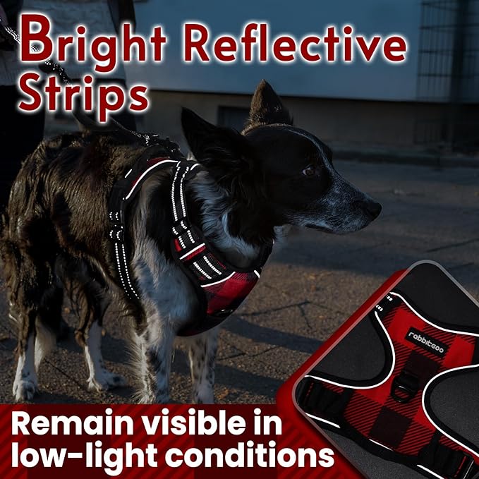 rabbitgoo Dog Harness No Pull with 2 Leash Clips, Adjustable Soft Padded, Reflective Oxford No Choke Pet Vest with Easy Control Handle for Small Dogs, Red Plaid, S