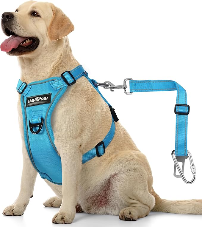 Dog Seat Belt Harness for Car, Dog Car Harness Adjustable Mesh Breathable & Dogs Seatbelt Safety Tether with Elastic Bungee for Small Medium Large Pets(Blue, L)