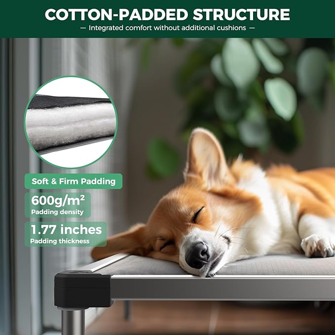 FXW TitanNest Chew-Proof Elevated Dog Bed, Raised Cot for Indoor/Outdoor/Camping Use, Durable & Washable Padded Pet Bed with Exclusive Reuseable Cover for Toy Dogs, 24.0" L x 20.0" W x 4.1" H, Gray