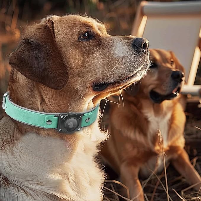 AirTag Dog Collar - Leather Dog Collar with Air Tag Holder | IPX8 Waterproof, Reflective, High - End, Adjustable Soft Padded | Dog GPS Tracker Collars Fit for Medium Large Dogs (Teal, M)