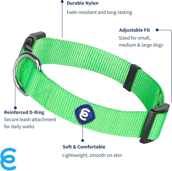 Blueberry Pet Essentials Dog Collar | Adjustable Girl Dog Collars for Medium Dogs | Neon Green Puppy Collar | Classic Nylon Dog Collars for Small Dogs | Pet Accessories