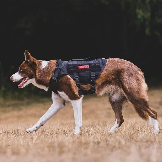 OneTigris No Pull Dog Harness for Small Dog, Mesh Design Breathable Military Dog Molle Vests with Handles, Service Dog Vest Harness for Walking Hiking Training