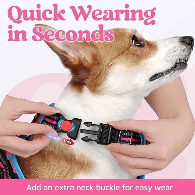 rabbitgoo Dog Harness Small Sized, No Pull Dog Vest with 3 Buckles, Adjustable Soft Padded Pet Harness with Easy Control Handle and Reflective Strips, Rose Pink & Blue, S