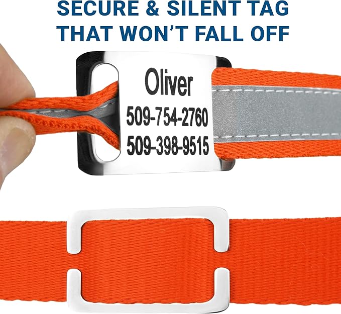 GoTags Reflective Personalized Dog Collar with Nameplate, Adjustable Dog Collar with Custom Engraved Steel Slide On Pet ID Tag, Silent, No Noise Dog Tag for Large Medium or Small (Orange, Medium)