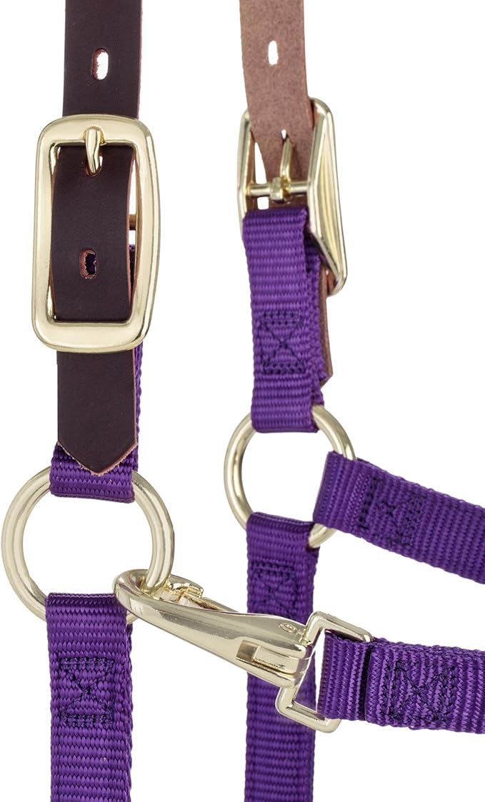Weaver Equine Breakaway Horse Halter, Supple Leather Crown, Adjustable Chin & Throat Snap Halters for Horses, Equine Tack