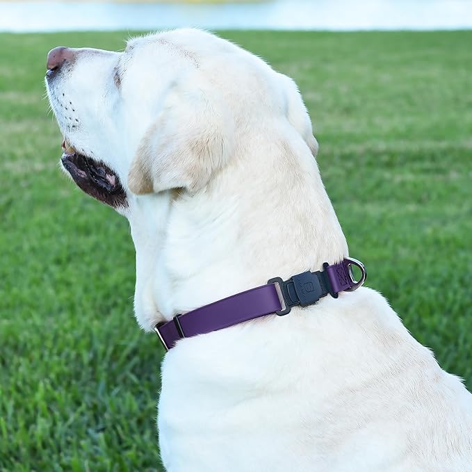 Dogline Biothane Waterproof Dog Collar with Herm Sprenger Black Stainless Steel Quick Release Buckle – Heavy Duty Tactical Durable Collar for Dogs – Comfortable and Safe Pet Collar, W 3/4" L 12-19"